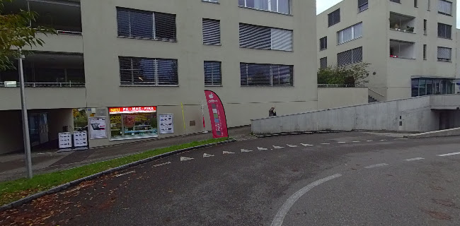 Pira GmbH - Riehen