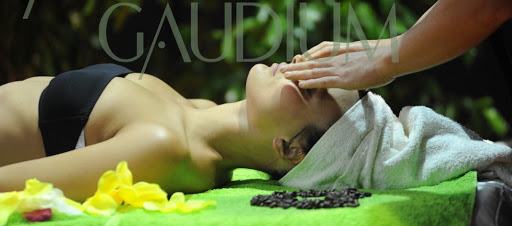 Gaudium la Porta del Benessere Logo