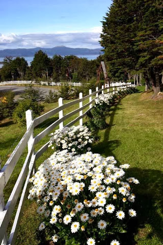 Aldea Nevada Cabañas by null