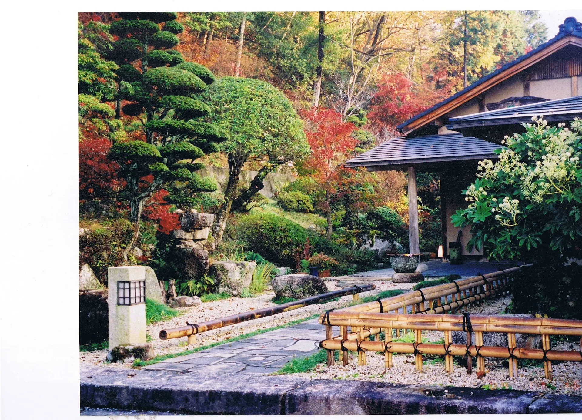 Shikanoyu