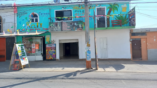 SOLI MICHES ALITAS Y TRAGUITOS Logo