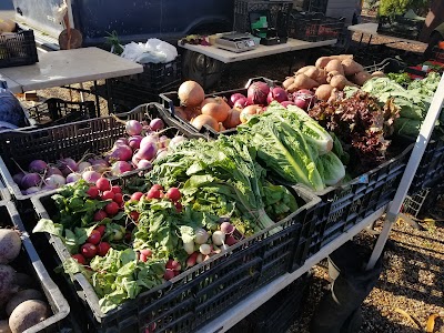 Williamsburg Farmers Market