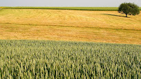 Sarl Laurent à Poix