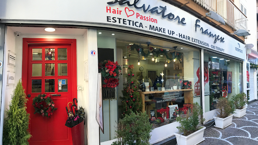 Salvatore Franzese Hair Passion Logo