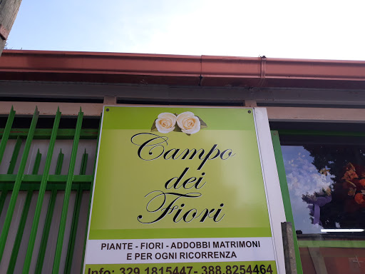 Valle dei fiori - Thumbnail