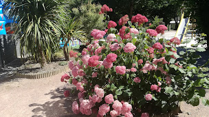 Photo n°36 de Camping les Charmes (85) à Apremont (Terrain de camping)