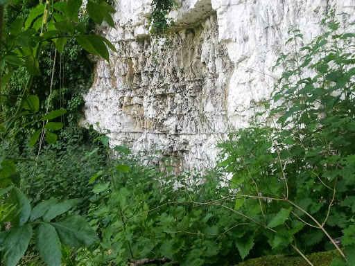 Cookham Dean Chalk Pit - Thumbnail