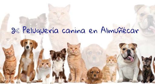 Clínica Veterinaria Caribe