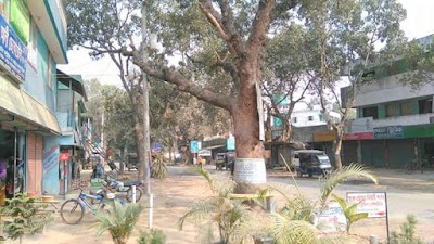 Photos of Hamid Pur Bus Stop