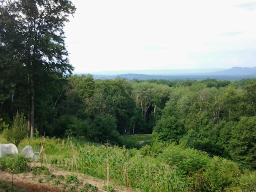Pomeroy Mountain - Visual
