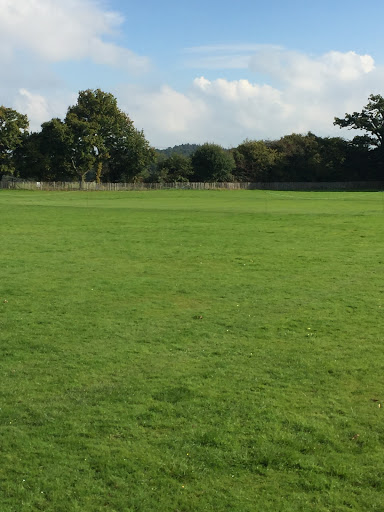Liss Cricket Club Logo