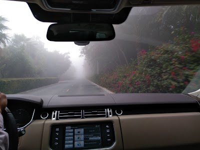 Photos of Mediterranean Garden