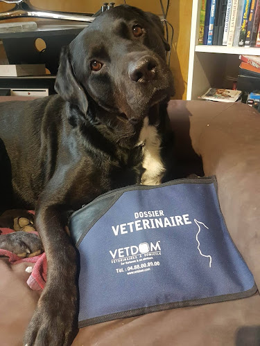 VETDOM Vétérinaires à domicile - Narbonne