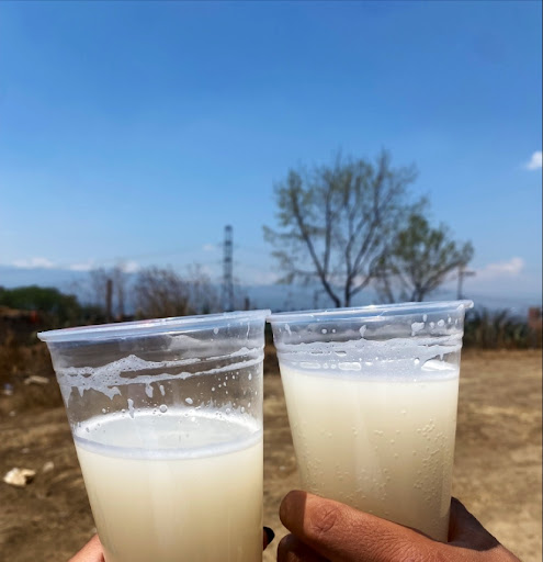 Pulques Don Julio - Thumbnail