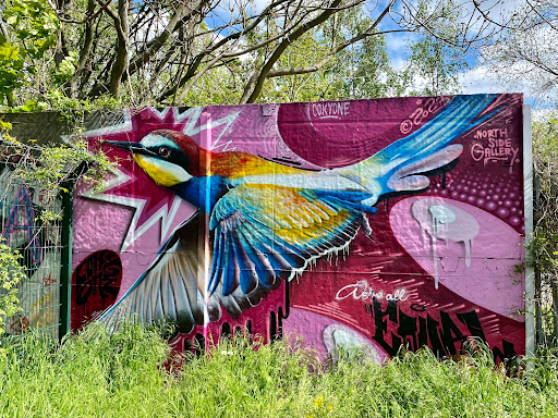 North Side Gallery - Visual