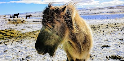 Photos of Br&uacute;