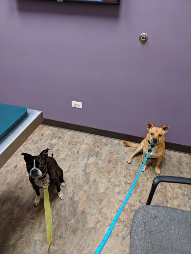 Duke Animal Hospital - Thumbnail