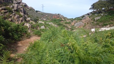 Photos of for&ecirc;t Hjar Nhal