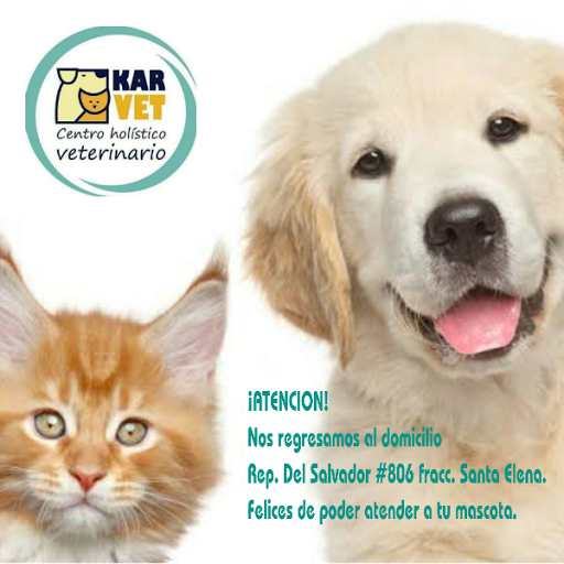 KARVET Centro Holístico Veterinario
