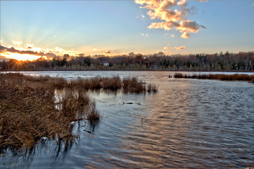 Grassy Pond Conservation Land