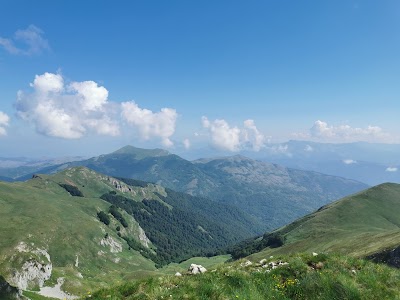 Bulqizë District