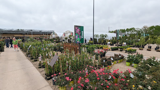 Stein's Garden & Home Gallery - United States