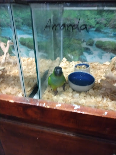 Candace Fish Store - Visual