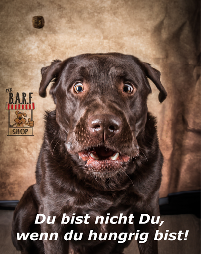 The Barf Shop