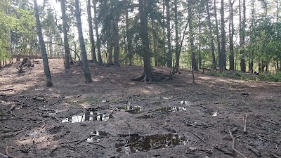 Photos of Ventspils Briezu Darzs