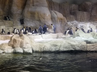 Suzanne & Walter Scott Aquarium