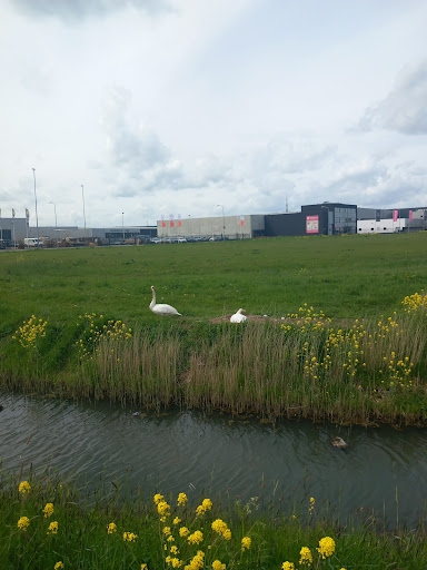 Bedrijventerrein de Wildeman - Thumbnail