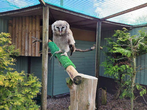 Gentleshaw Wildlife Centre - Thumbnail