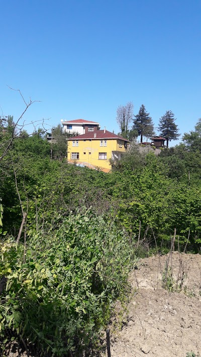 Subaşı Mahallesi Cami