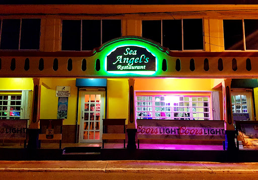 Sea Angel's Logo