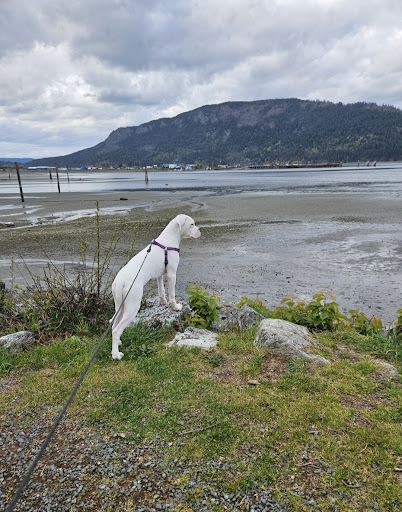 Cowichan Bay Boat Launch - Thumbnail