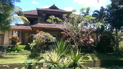 Photos of Indigo Tree