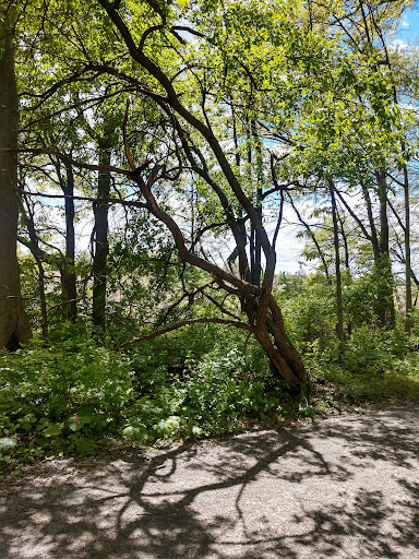 Boulder Park - Thumbnail