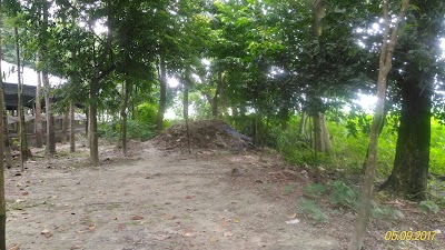 Photos of Shikor