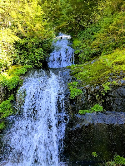 Marys Peak Botanical Special Interest Area