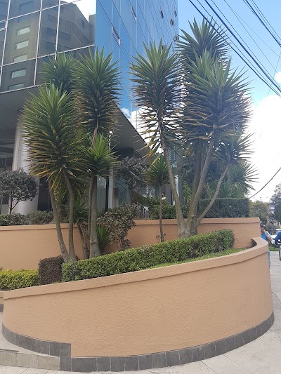 Photos of Plaza Artigas