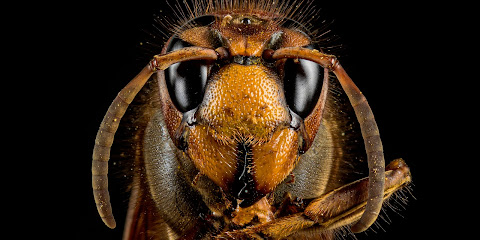 STUDIO DA RE - FOTO E VIDEO