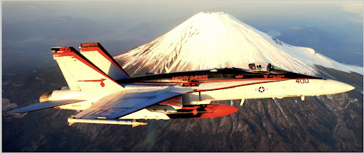 Top Flight Auto - Visual