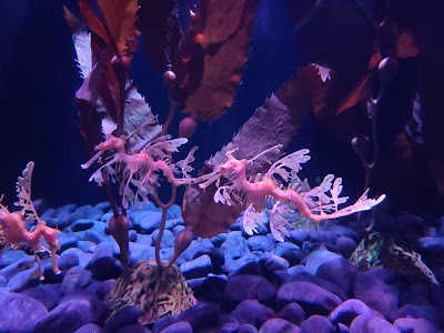 St. Louis Aquarium at Union Station