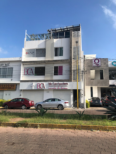 Previsión Patrimonial / Iliana Urbina rivera