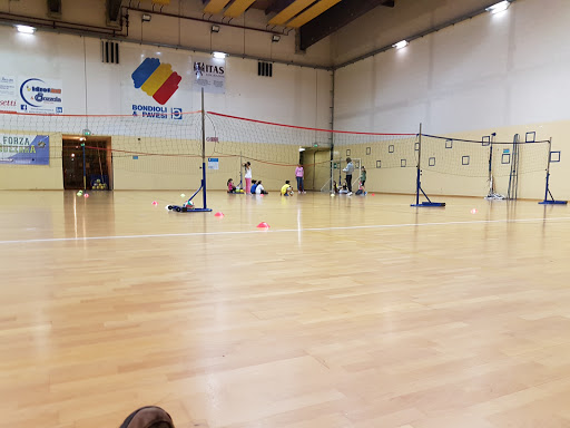 CrossFit Suzzara - Visual