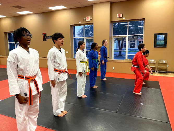 VIP International Krav Maga & Martial Arts Academy - brazilian jiu jitsu in Odessa, Florida