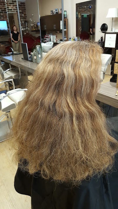 Photos of Salon del Pierro