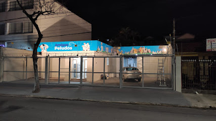 Clínica Veterinária Amigos Peludos