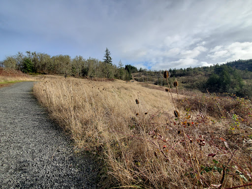 Howard Buford Park