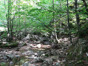 Photo n°22 de Traiteur Tienda Iberica Halles de Nimes à Nîmes (Épicerie)